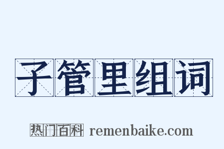 子管里组词是什么意思的图片